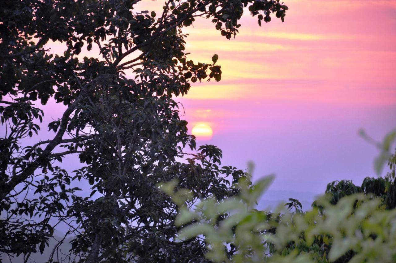 Viewpoint Lodge & Safari Tours Hazyview Buitenkant foto
